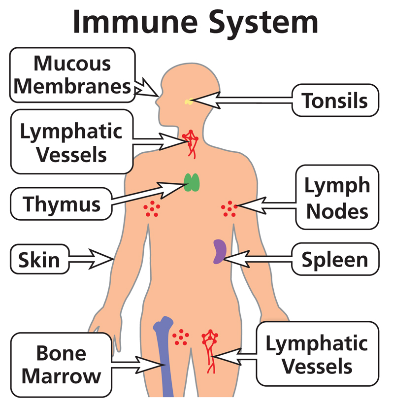 Community Health Program